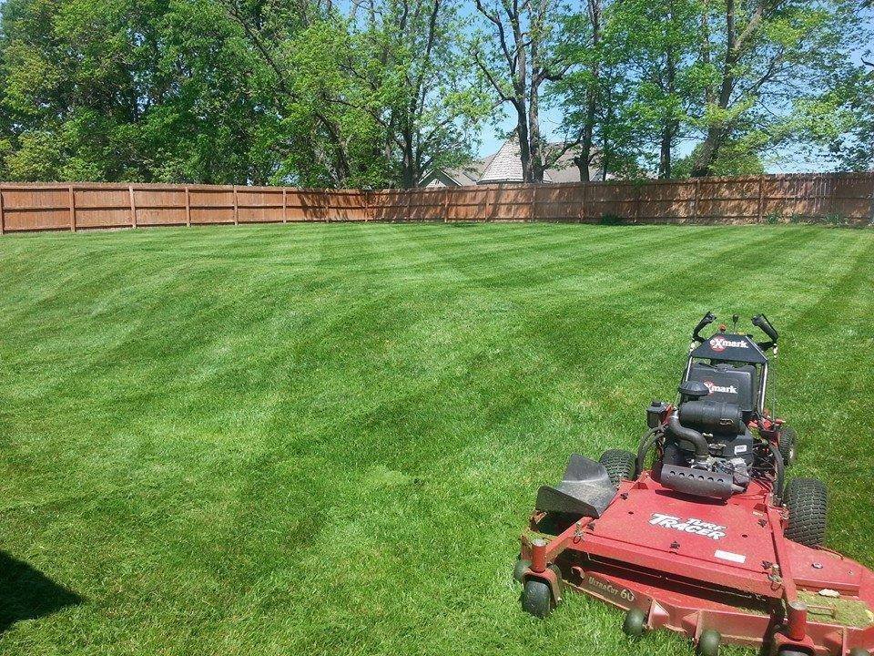 Descripción descriptiva de la imagen